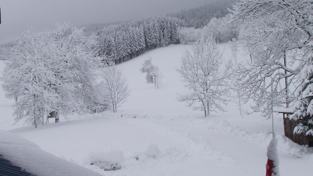 Hotel Le Grand Chalet Foncine-le-Haut 外观 照片