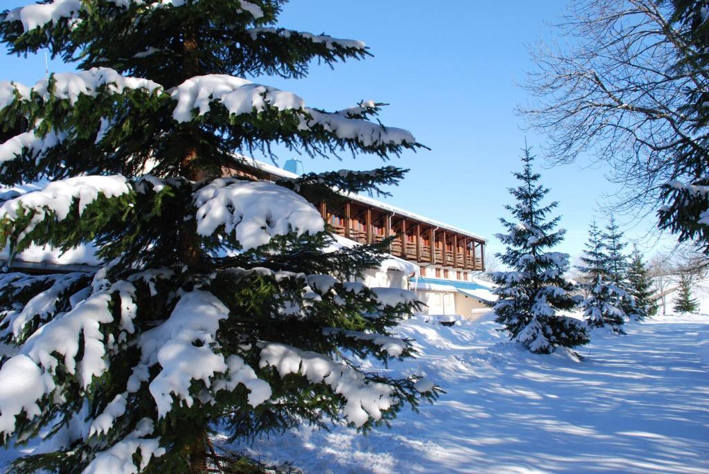 Hotel Le Grand Chalet Foncine-le-Haut 外观 照片